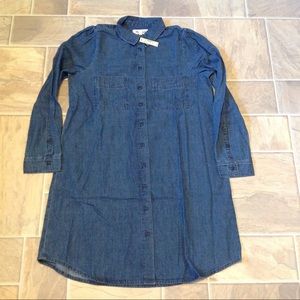 MADEWELL HARRIS PUFF SLEEVE SHIRT DRESS BD PUFFY